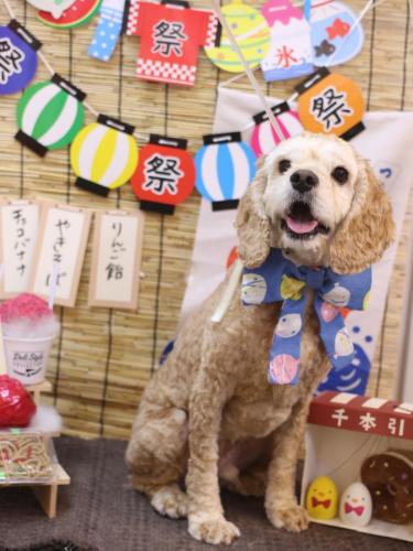 20240713チャイくん